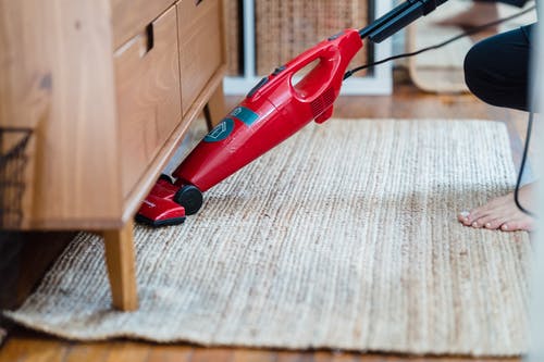 The Importance of Carpet Cleaning for Pet Owners